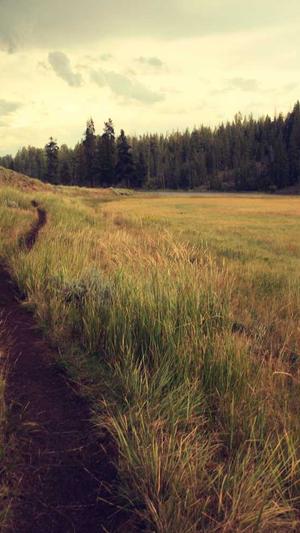 小霸王站群蜘蛛池截图3