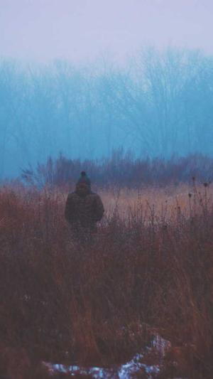 兰州seo工具下载截图2