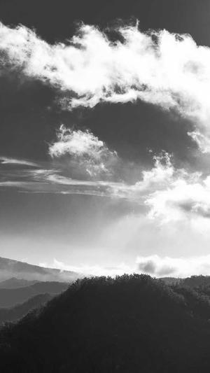 专业网站优化seo截图4