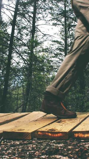 如何做seo推广蜘蛛池截图4