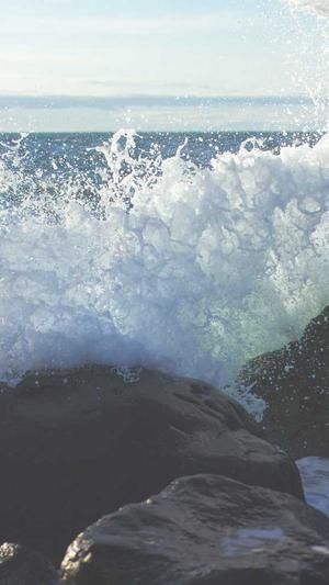 百度蜘蛛池收录查询截图2