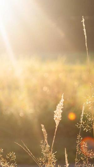 牛牛蜘蛛池下载截图2