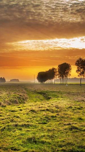 吉林seo优化截图1