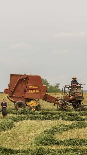 semrush是seo工具吗截图1