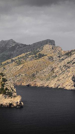 宝鸡seo优化截图3