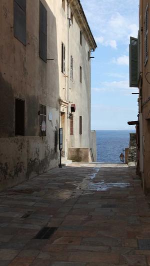 蜘蛛池在哪里用截图1