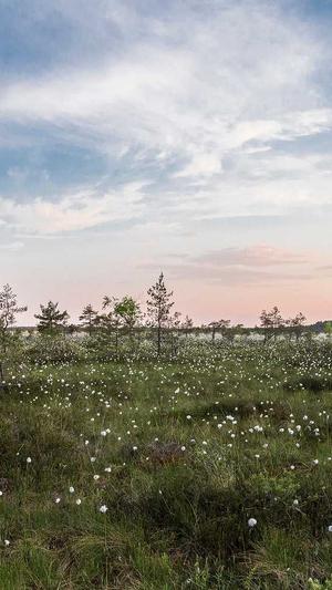 杭州seo排名工具费用截图2