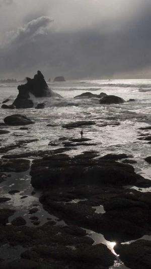 seo排名工具开发教程截图4