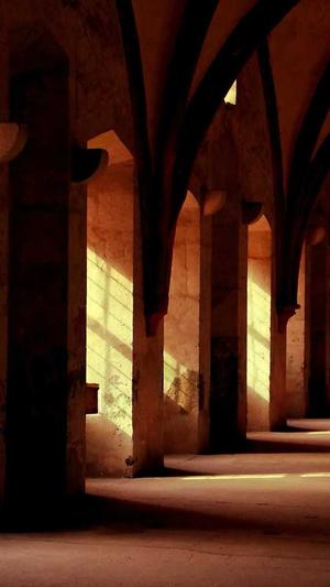 seo优化技术教程蜘蛛池截图2