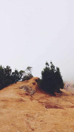 seo网站建设截图2