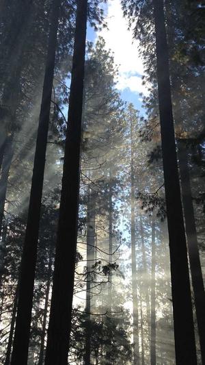 外贸网站建设注意事项和建议截图3