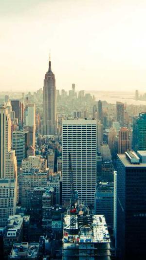 seo工具免费版截图2