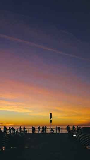 寄生虫泛目录截图3