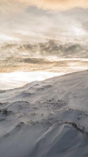 哪家网站建设公司截图3