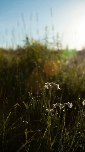 闵行网站建设公司截图2