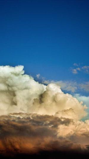 逐鹿泛目录下载截图3