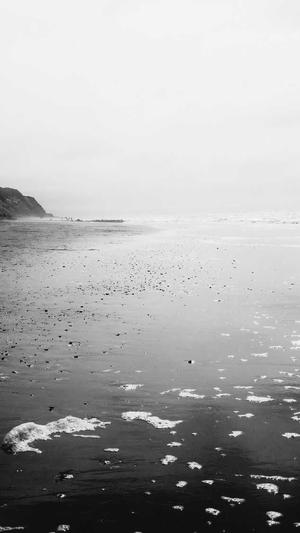 揭阳市seo推广营销工具截图1