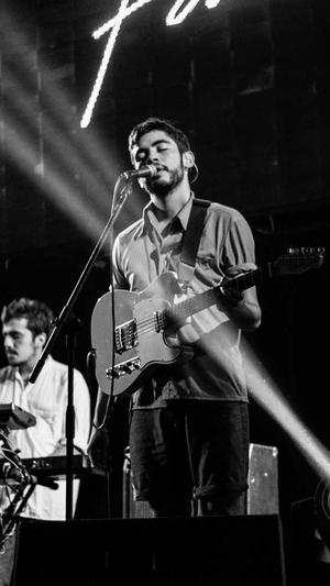 蜘蛛池的危害有多大截图3