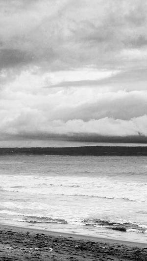 吉林seo优化截图2