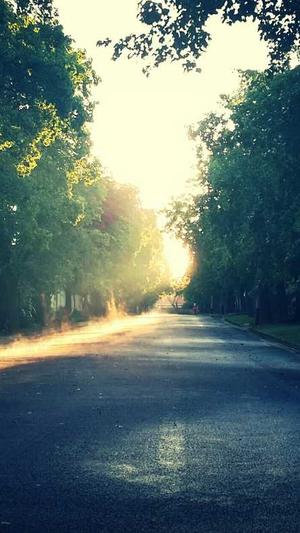 seo发帖工具泛目录截图3