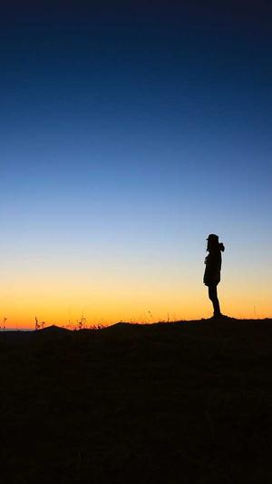 超级蜘蛛池管理系统截图5