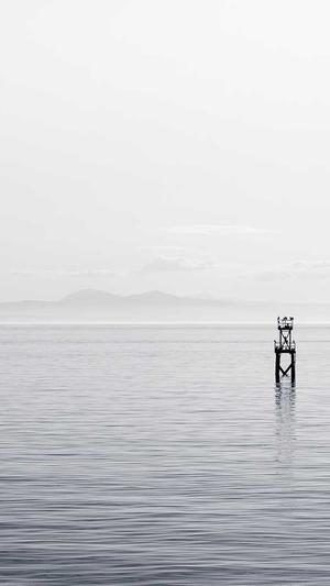 厦门seo顾问服务截图3