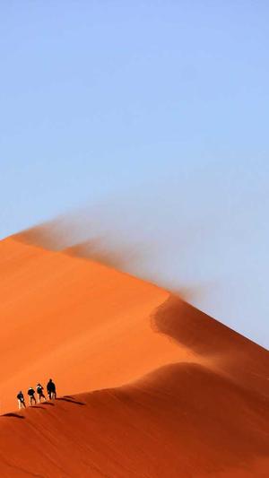 蜘蛛池搭建步骤视频截图3