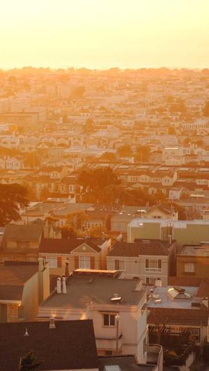 零距离泛目录截图5