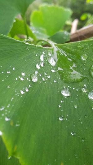 汽配网站建设截图3