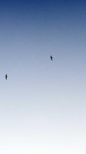 成都seo推广截图3