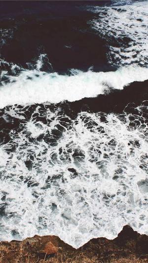 国内seo工具截图4