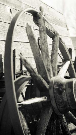 如何把网站放入蜘蛛池截图2