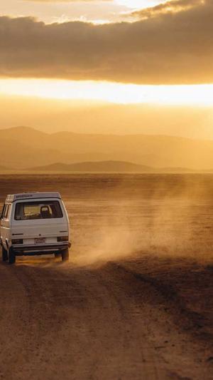 小旋风蜘蛛池 谷歌截图3