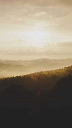 西安seo排名截图5