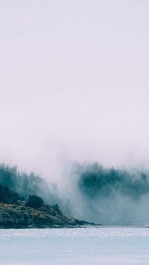 五家渠网站建设截图3