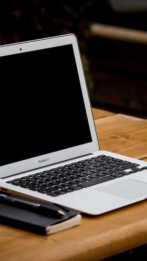 蜘蛛池的含义是什么截图1