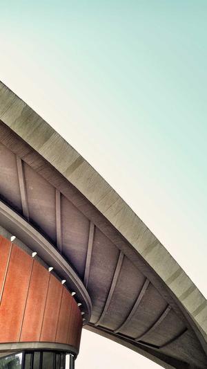 秒收录蜘蛛池优化截图1