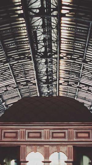 蜘蛛池的蜘蛛蛋截图2