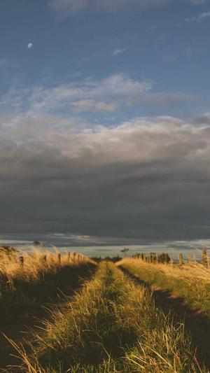 西藏蜘蛛池出租服务截图5