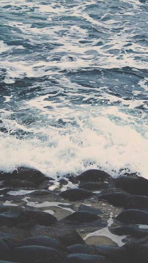 seo技巧优化截图1