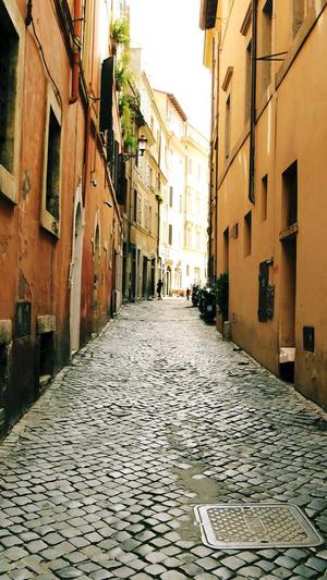 蜘蛛池搭建软件截图2