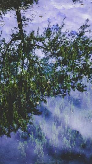 二级泛目录霸屏源码截图3