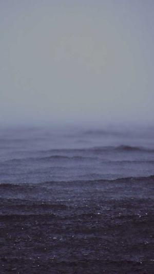 大网站建设截图4