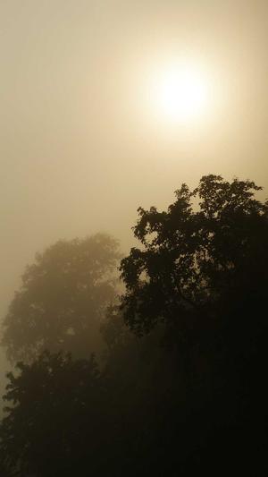 阿里蜘蛛池搭建截图2