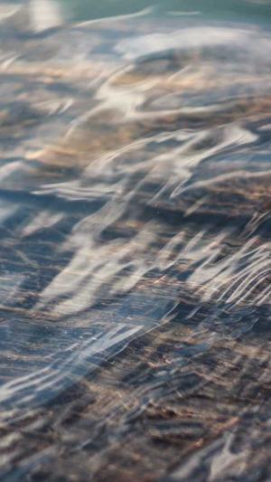 seo自动发布外链工具截图4