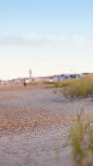 泛目录推广接单2020截图3