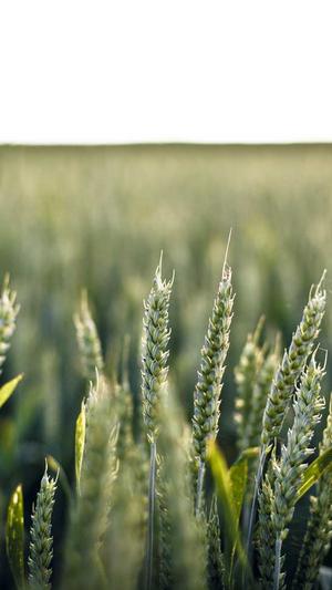 蜘蛛池有什么用的截图4