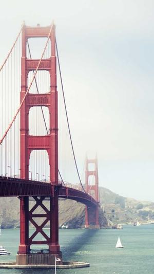 重庆seo网站技术截图3