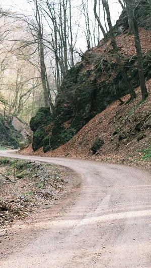 小旋风蜘蛛池por102截图1