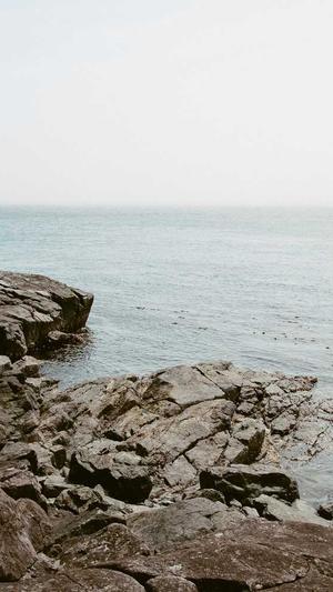 风度seo泛目录站群截图1